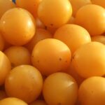 Τα Πράβιστα, το Φλαμούρι και τα Κράνα στο Άνω Καρυόφυτο