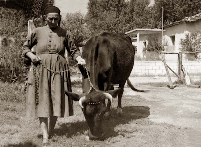 Η Νομαρχία Ξάνθης διαθέτει δωρεάν ζωοτροφές