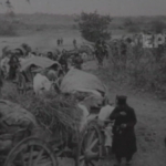 Η προσφυγιά